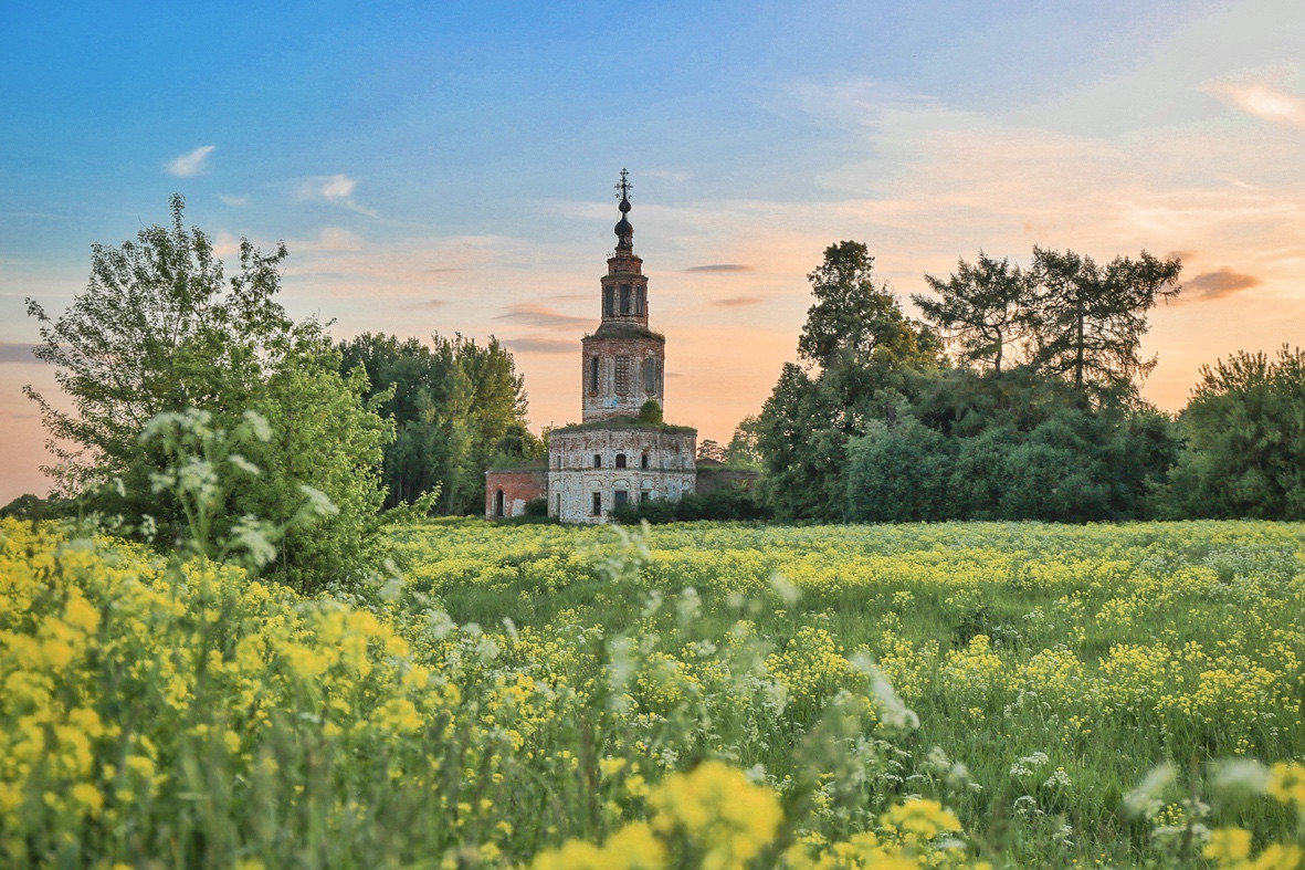 Ароматы лета. - Svetlana Sneg