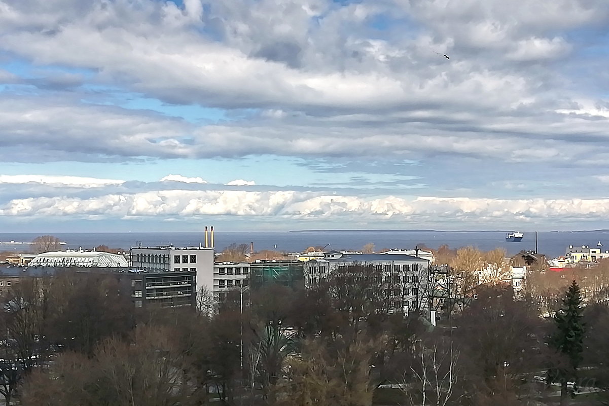 Таллин с видом на море - veera v