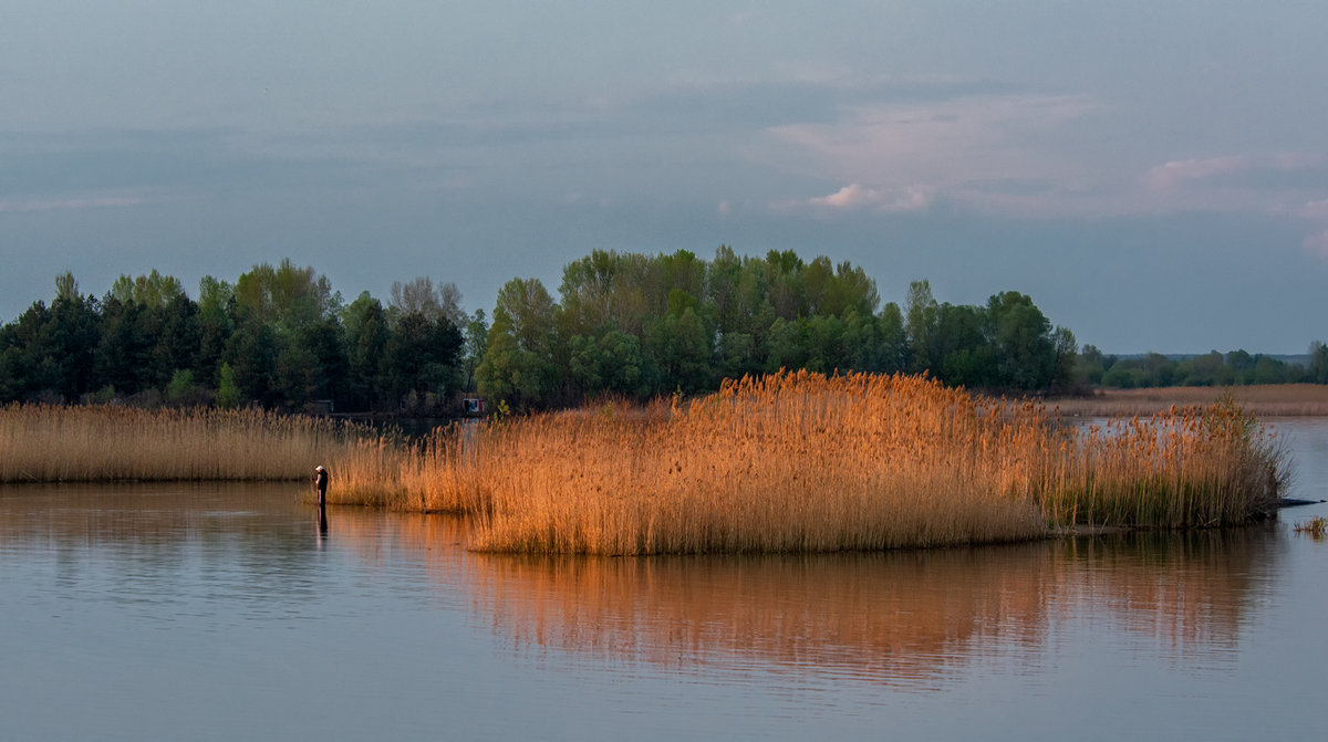 ... - Слава Украине