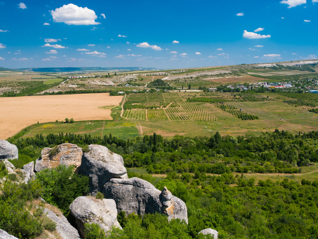 бескрайние поля предгорного Крыма - Андрей Козлов