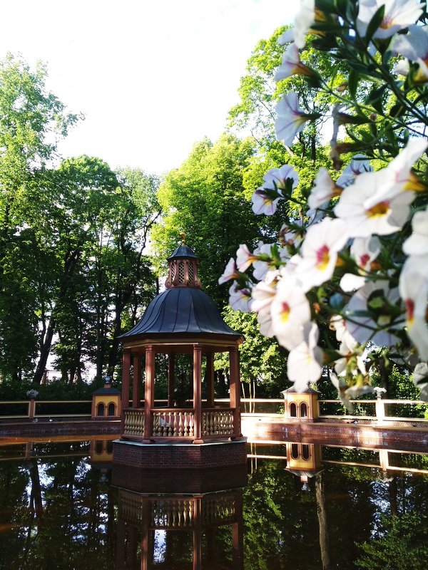Летний сад в Петербурге. - Ольга .
