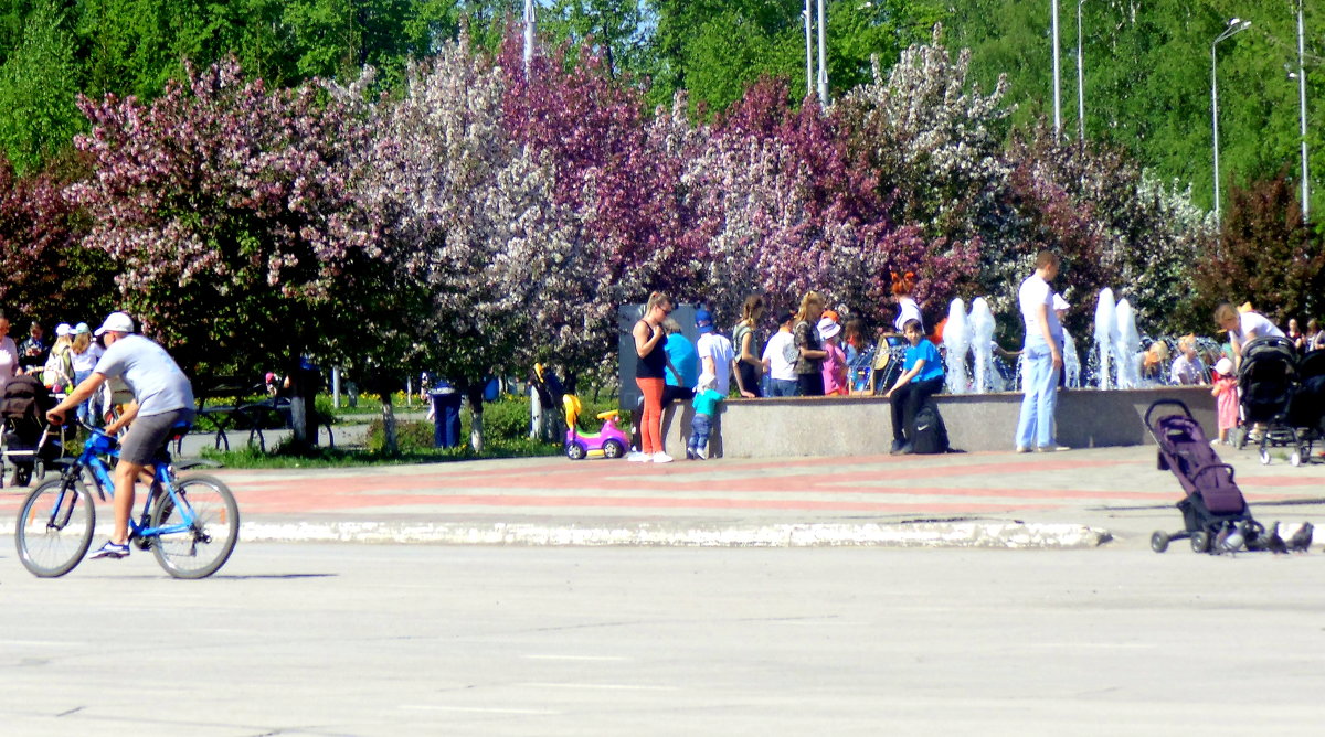 В парке городском . - Мила Бовкун