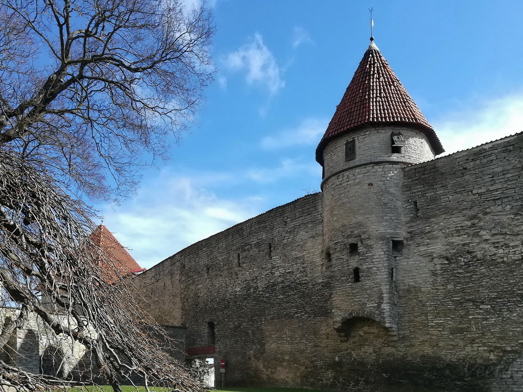 Стены и башни старого Таллина - veera v