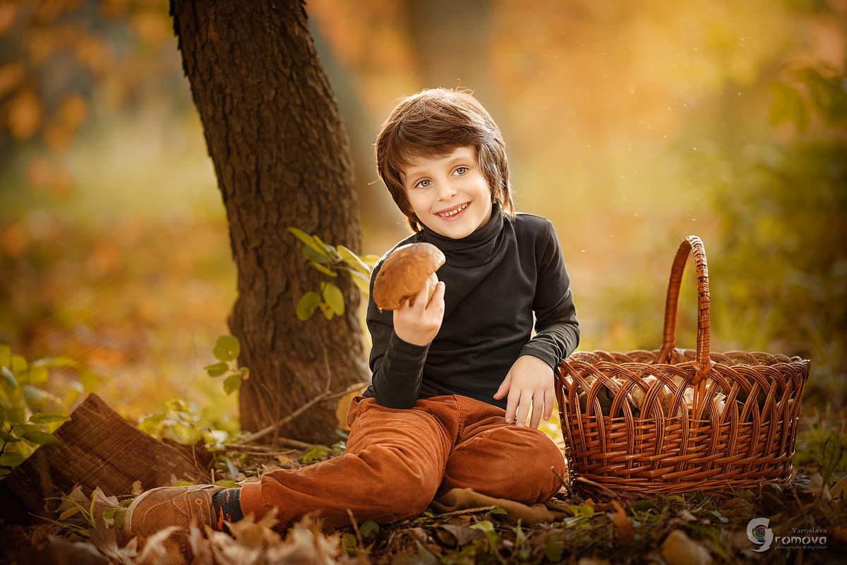 картинки дети собирают грибы в лесу осенью