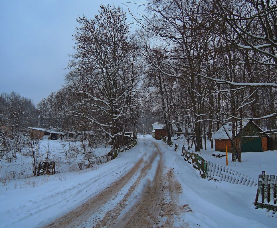 Зимний пейзаж в Гродненской области. - Александр Сапунов