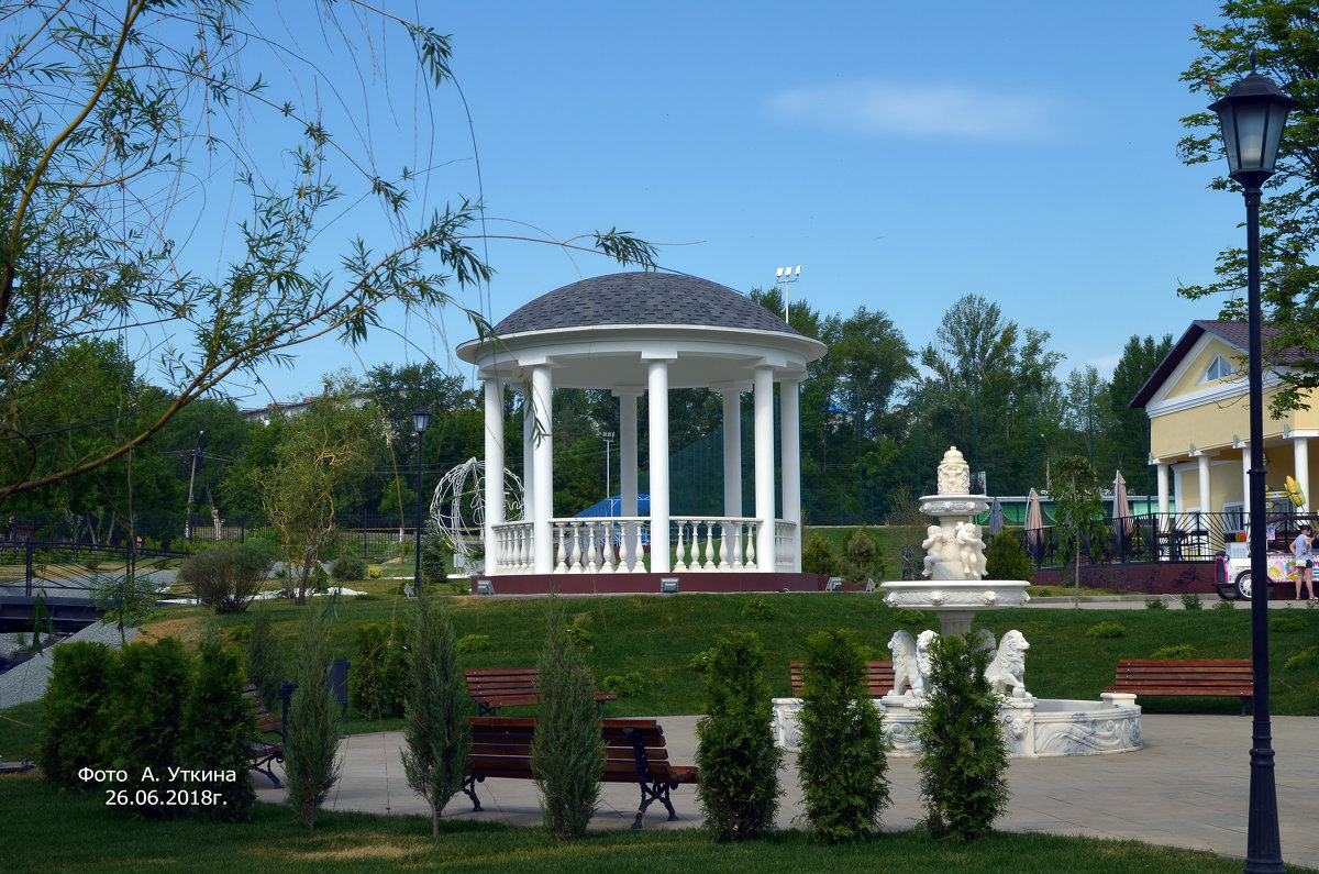 в вольске парк