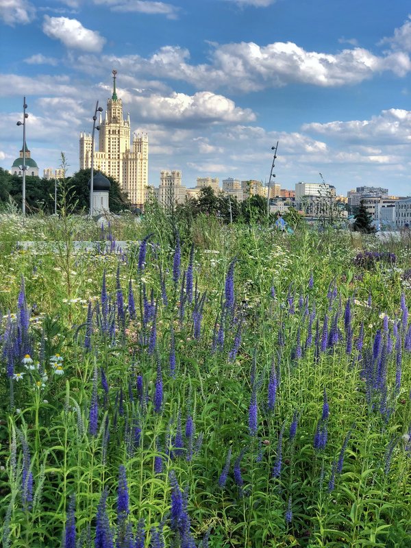 Москва - Татьяна Туманова