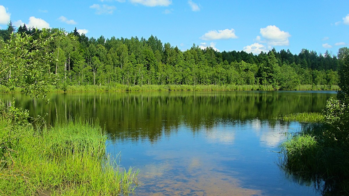 Оршанский район Беларуси озёра