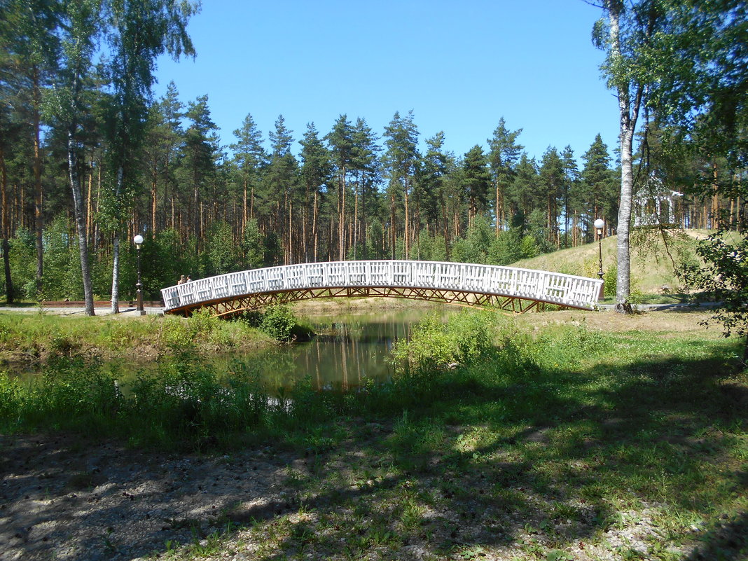 Жаркий день на природе - Tarka 