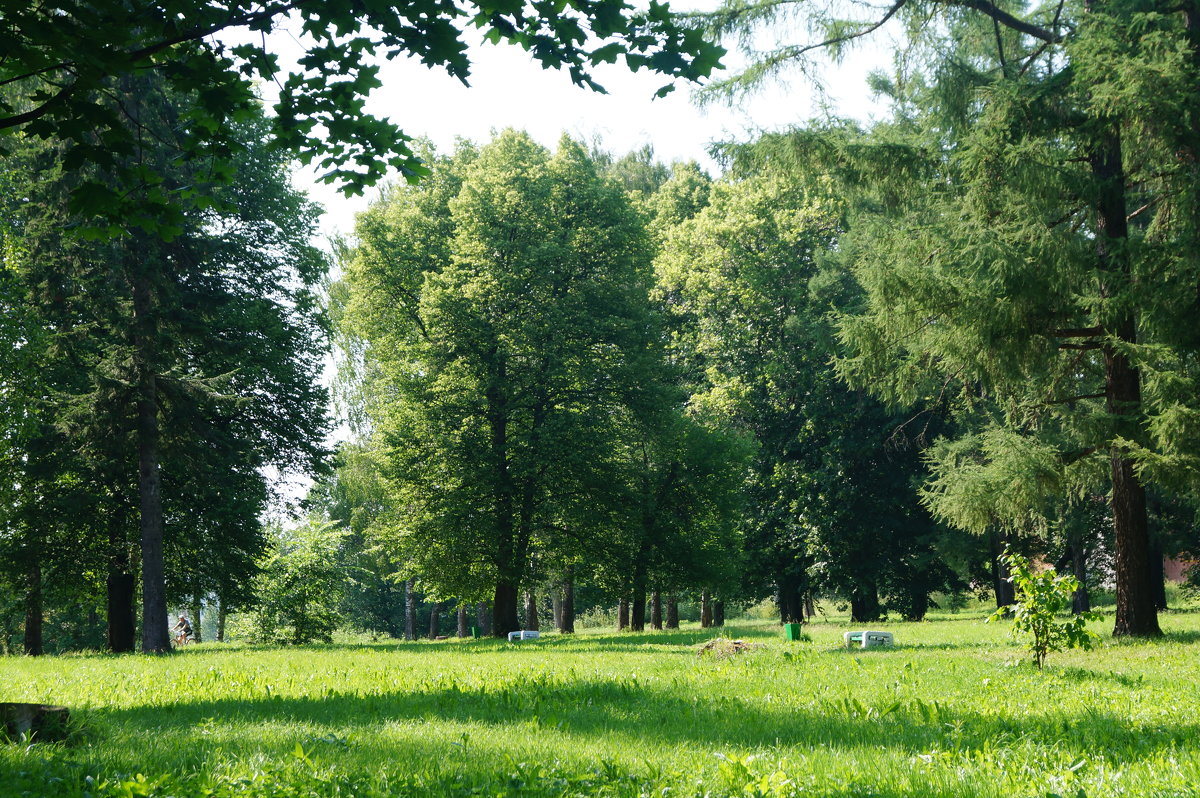 Парк города Приволжск - Tanya 