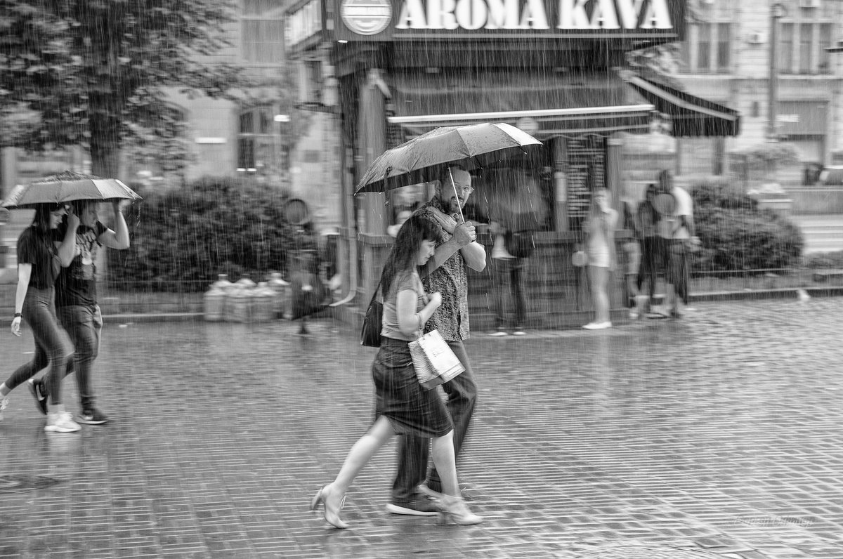 Дождь на Крещатике... - Сергей Офицер