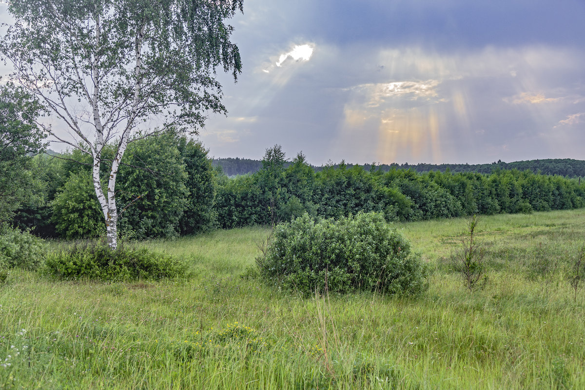 Небесный фонарь - Viacheslav Birukov