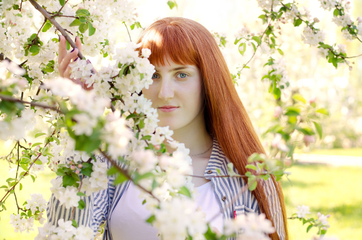 Когда сады цветут - Ольга Вафина