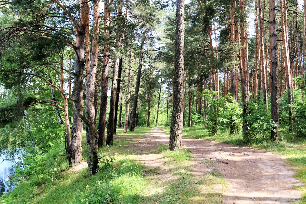 лето - Владимир Холодницкий