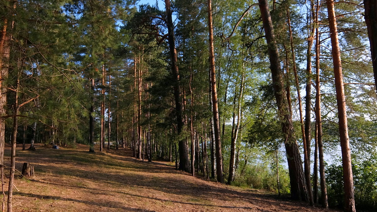 Лягут тени наискосок... - Люба 