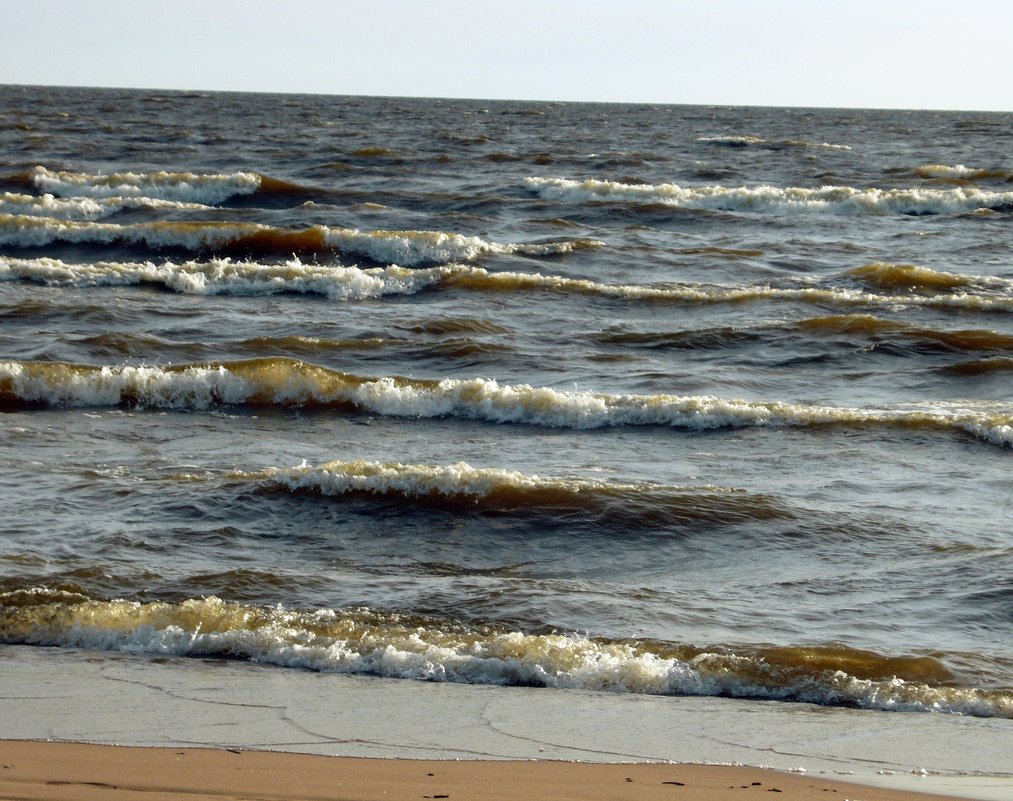 Пляж - Вера Щукина