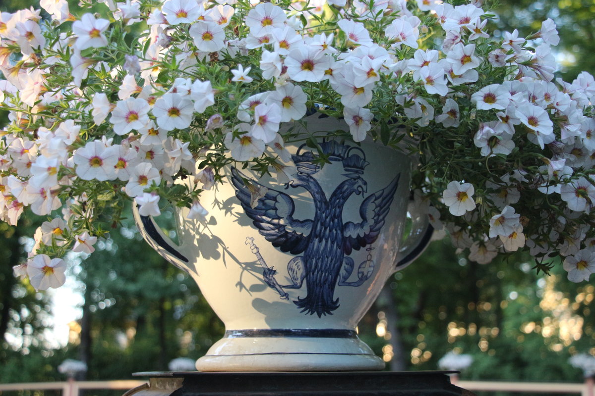Цветы Летнего сада - Наталья Герасимова