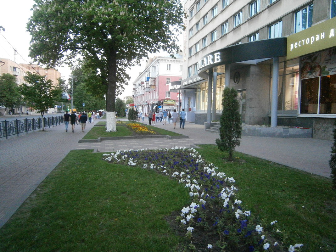 Курск. Улица Ленина - MarinaKiseleva 