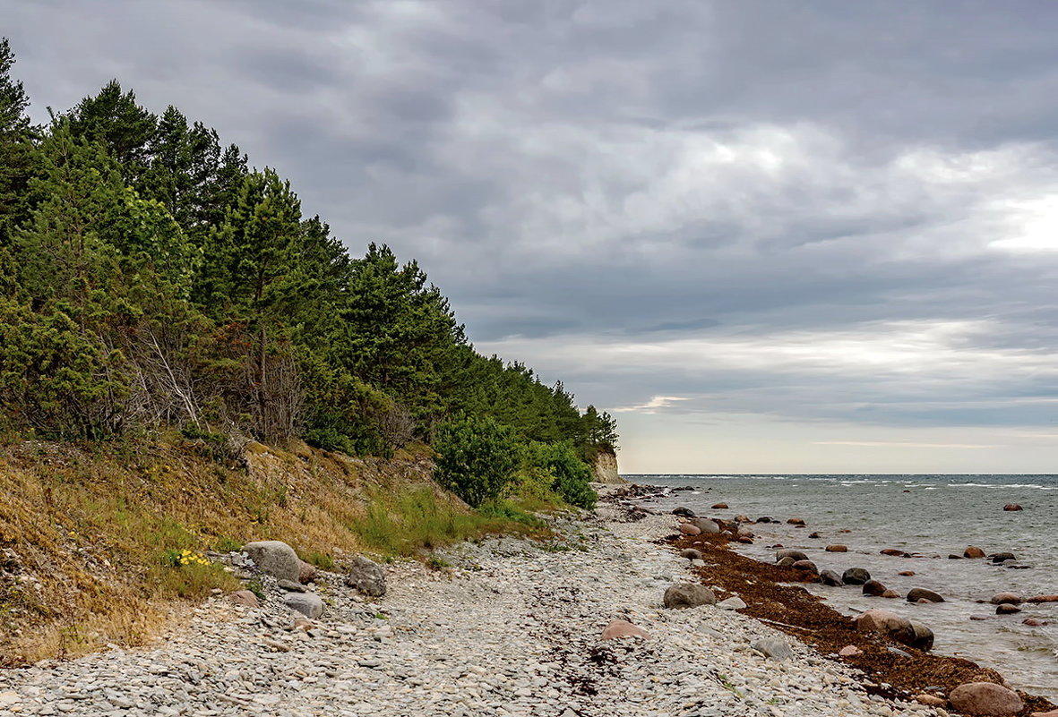 Estonia 2018 Saaremaa Panga - Arturs Ancans