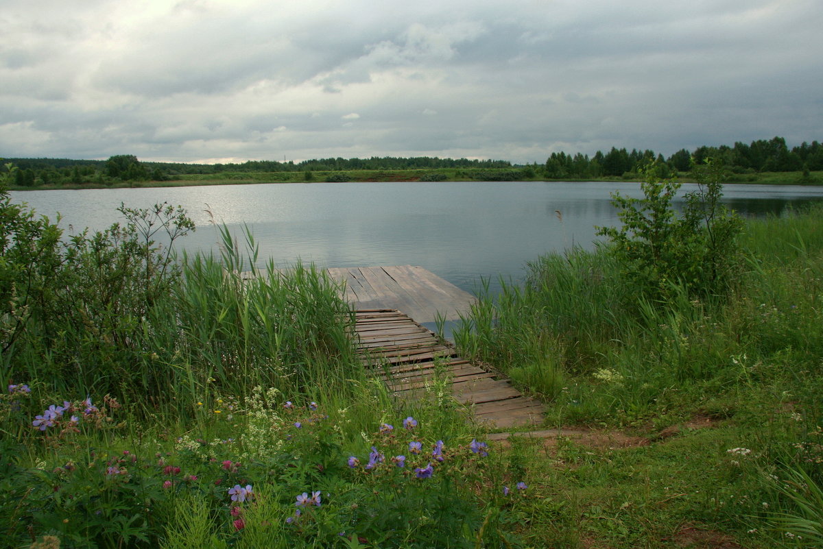Тихое озеро,сочные травы... - Нэля Лысенко