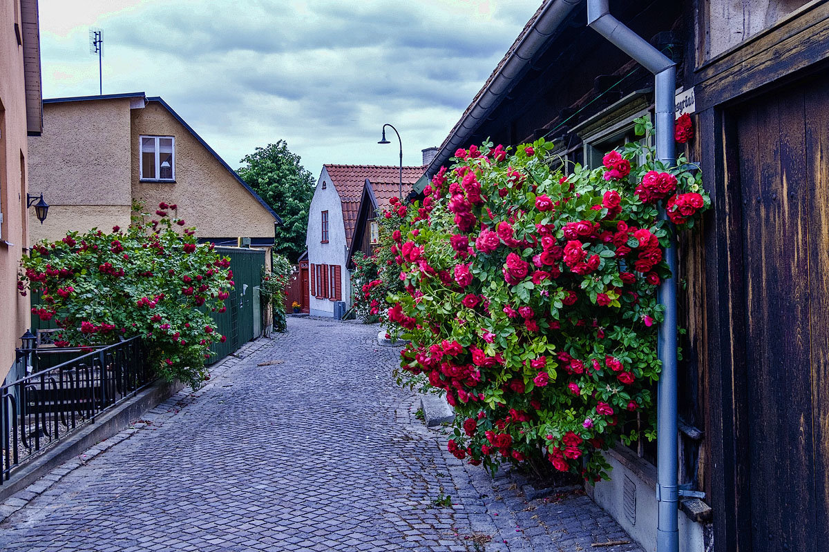 Visby. Gotland. - Александр 