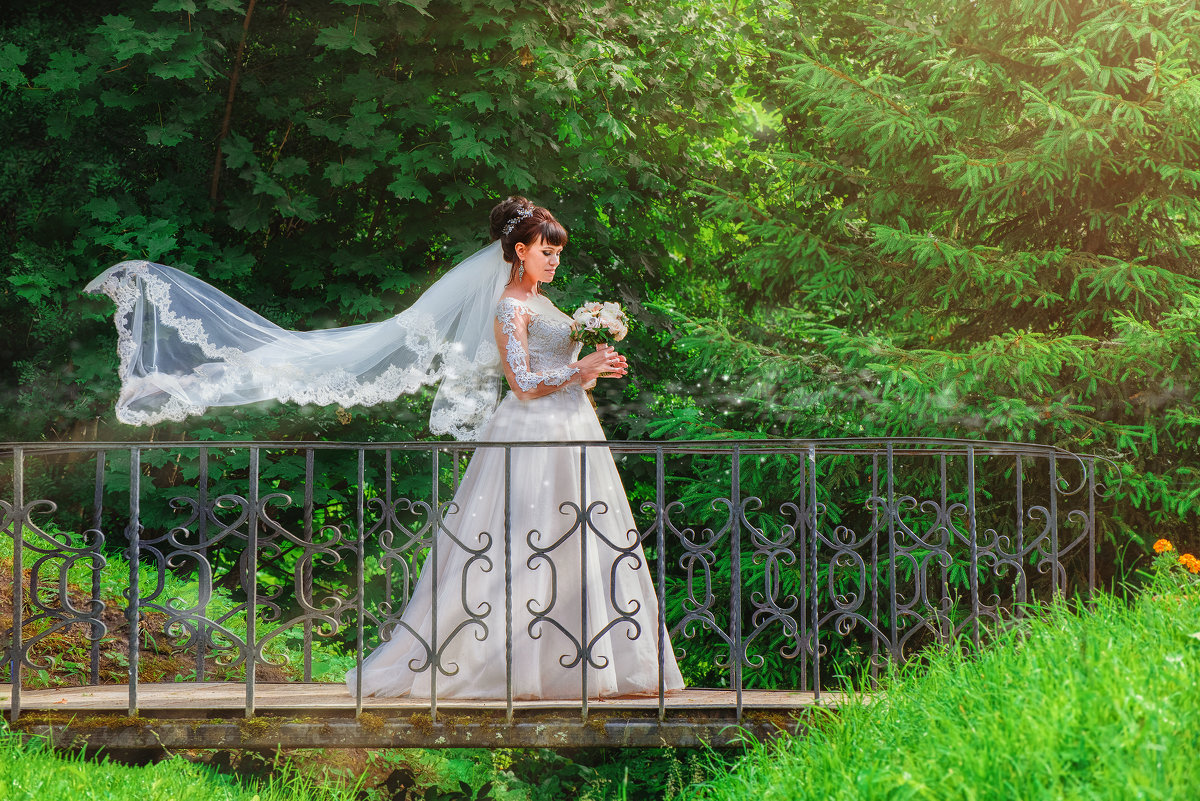 Невеста на мостике - Дмитрий Бачтуб