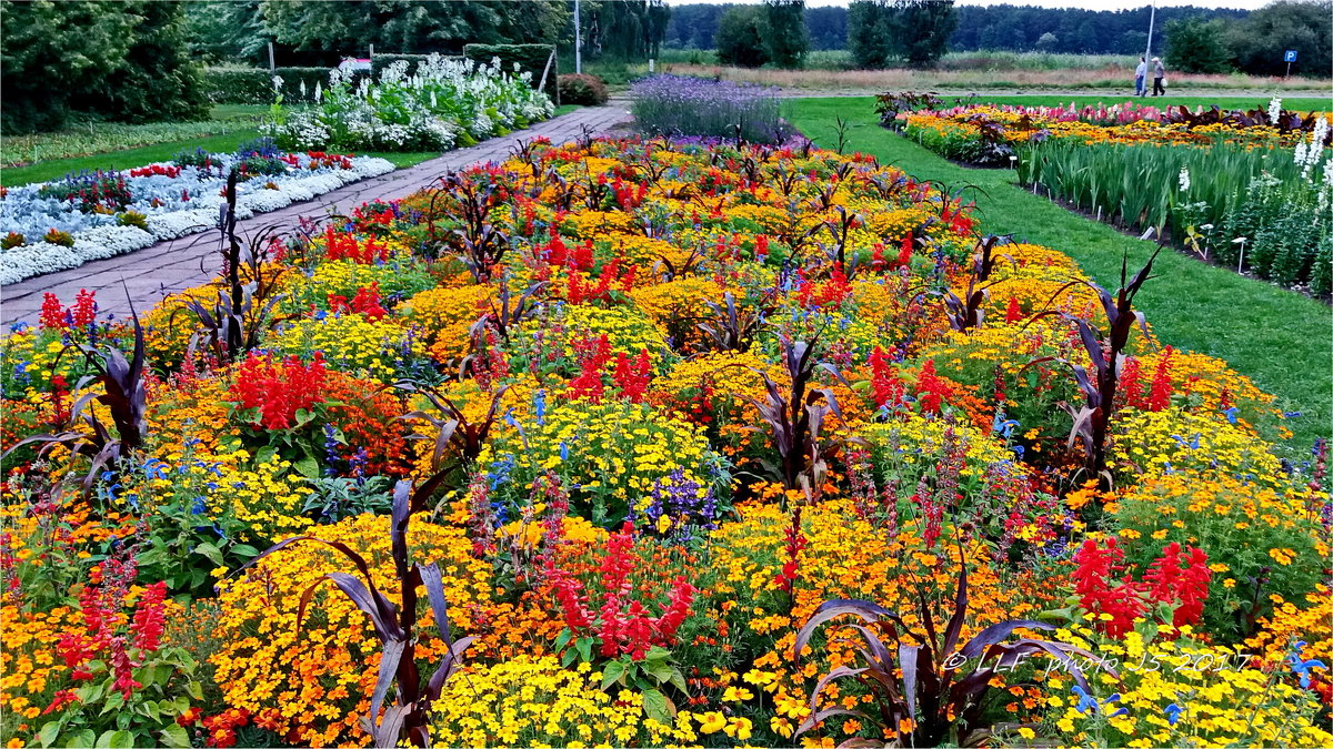 Ботанический сад - Булдури, Латвия. - Liudmila LLF