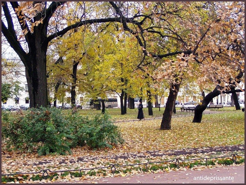 Осенний парк - vadim 