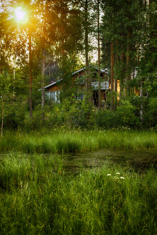 Дом на болоте - Анжела Пасечник