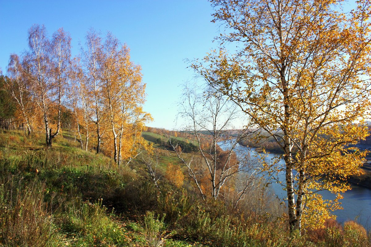 Золотая осень в Сибири фото