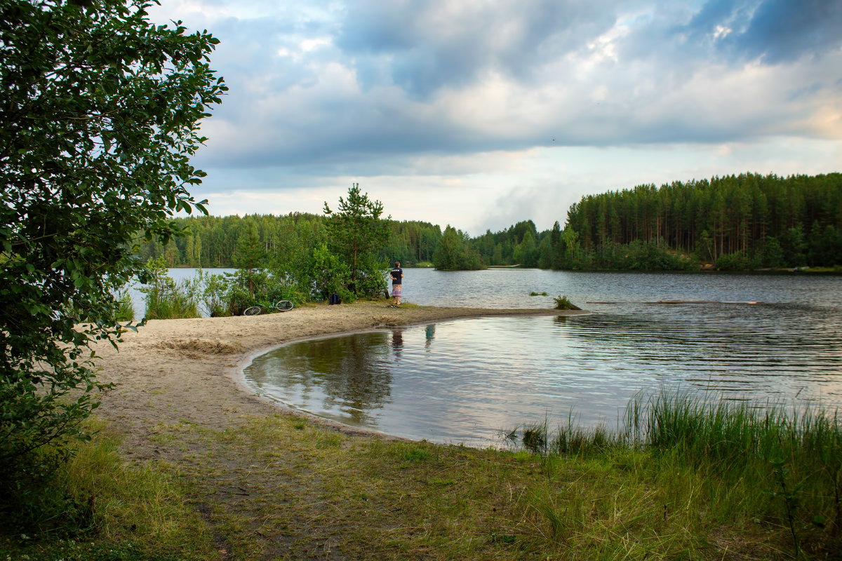 *** - Анжела Пасечник