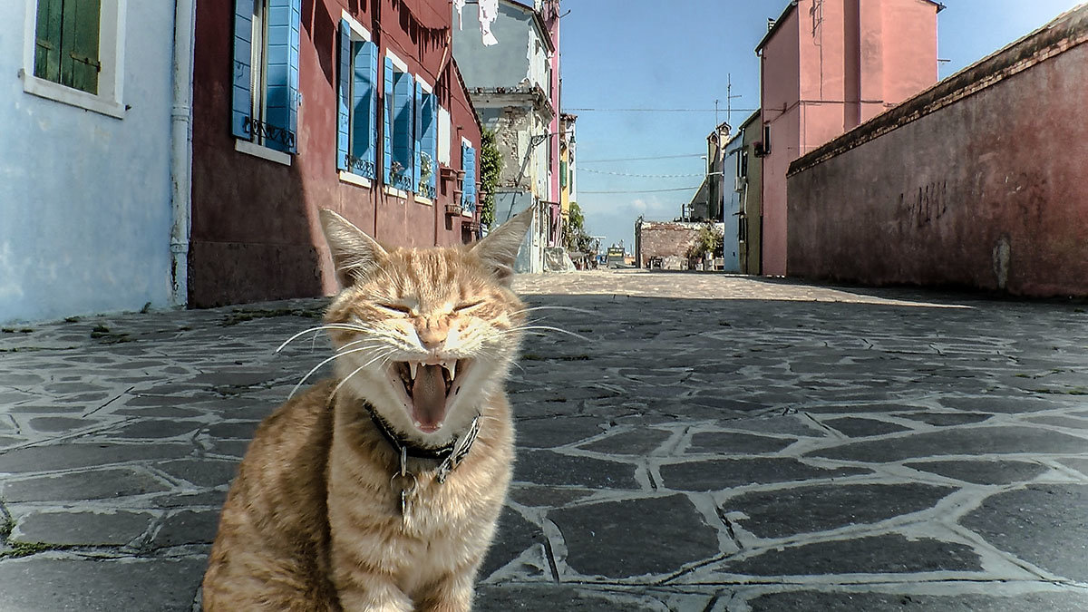 Venezia.Via paesaggio, sull'isola di Burano. - Игорь Олегович Кравченко