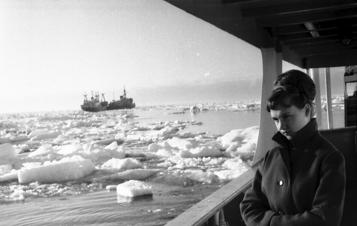 Арктика 70-е - Иволий Щёголев