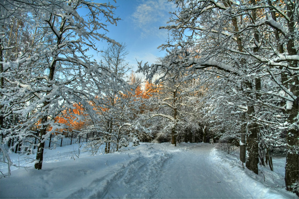 Зимняя прогулка природа
