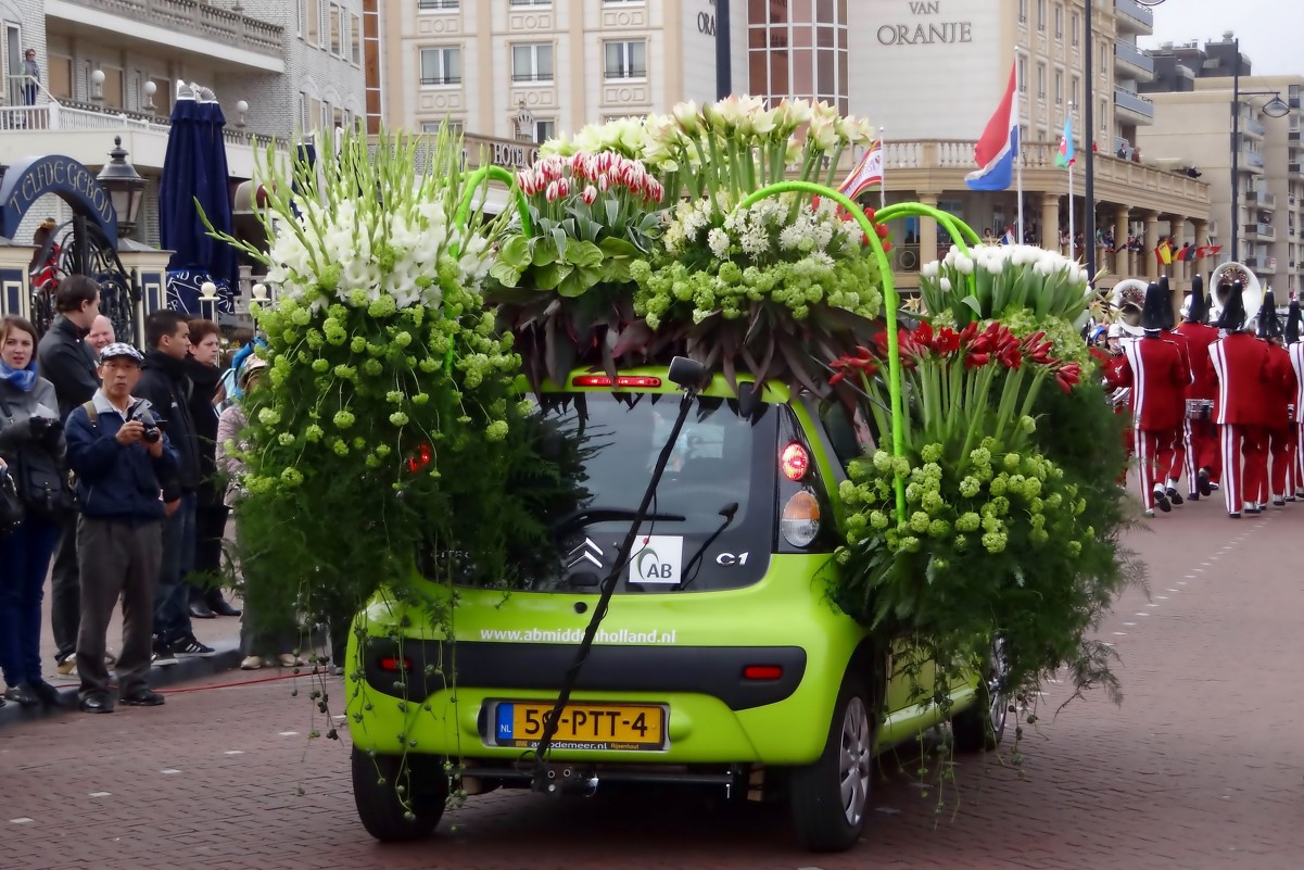 Парад цветов в Нидерландах. - Ольга 