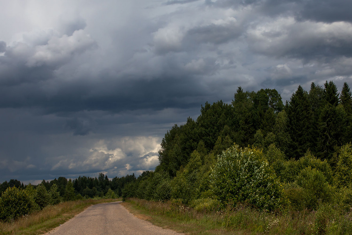 Перед грозой - Александр Каримов