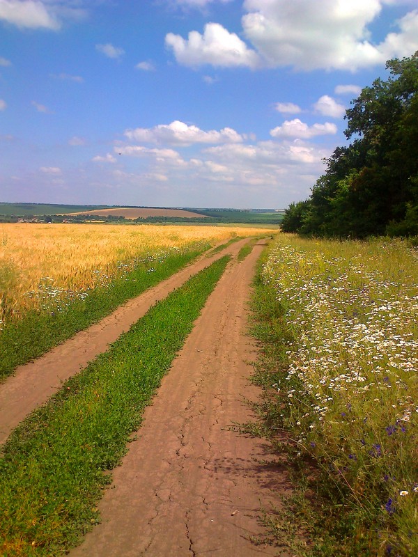 Дорога... - Анна :)