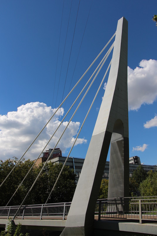 Мост через Яузу - Anfisa Arkadevna