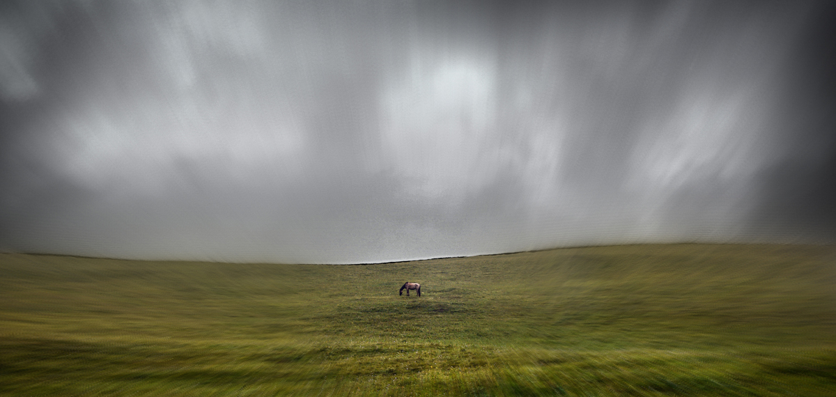 Одинокая лошадь перед грозой - Ирина Иванова 