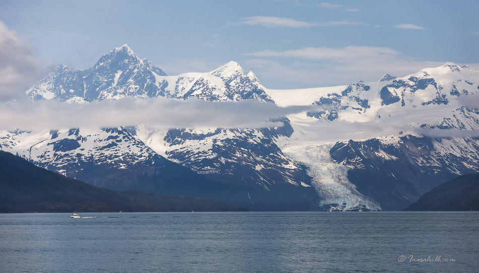 Ледники Аляски - Wattletree -