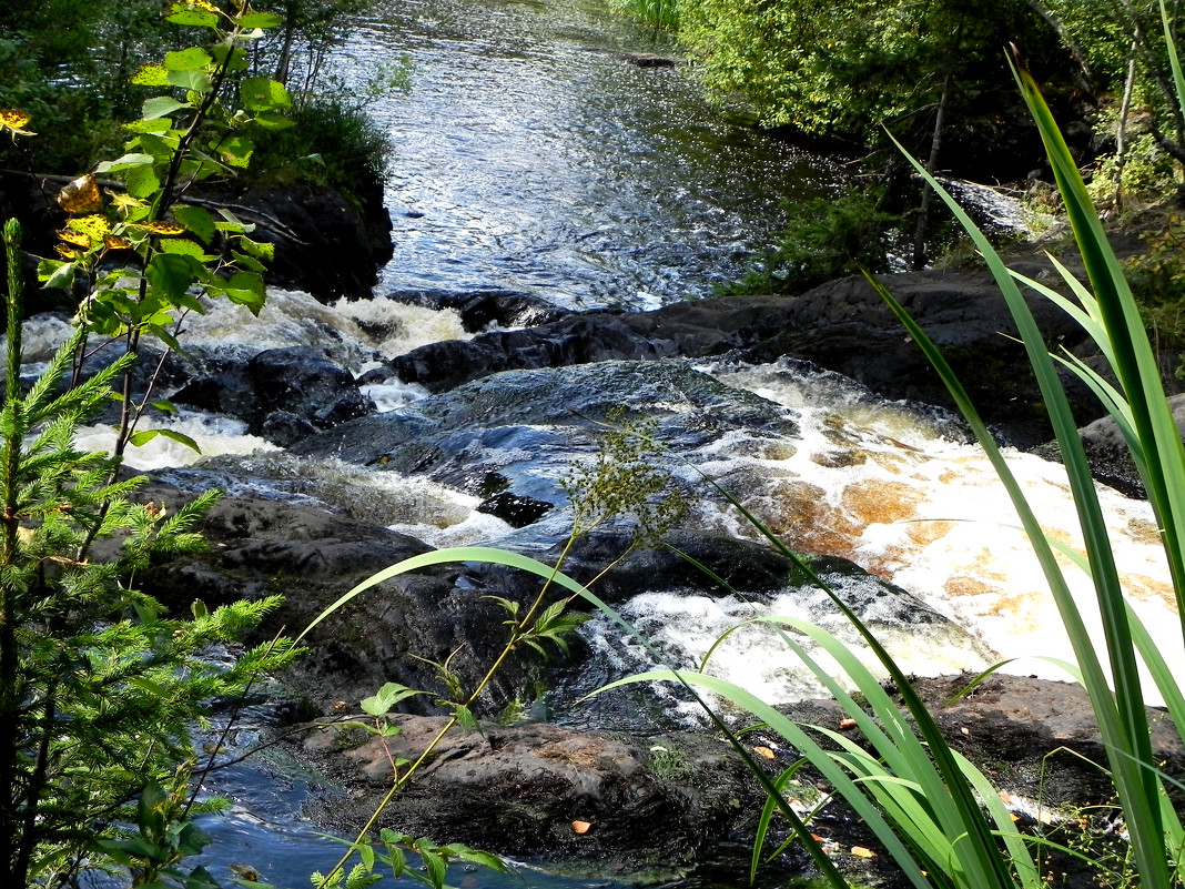 Вода и камень - Ольга Романова