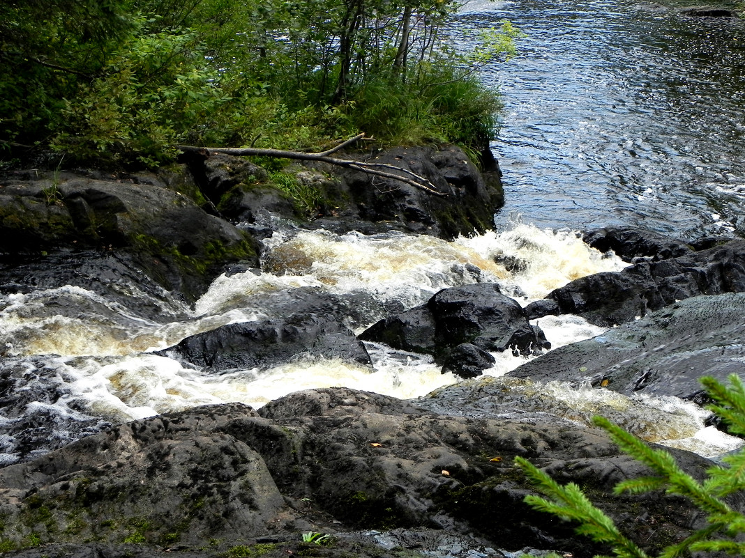 Вода и камень - Ольга Романова