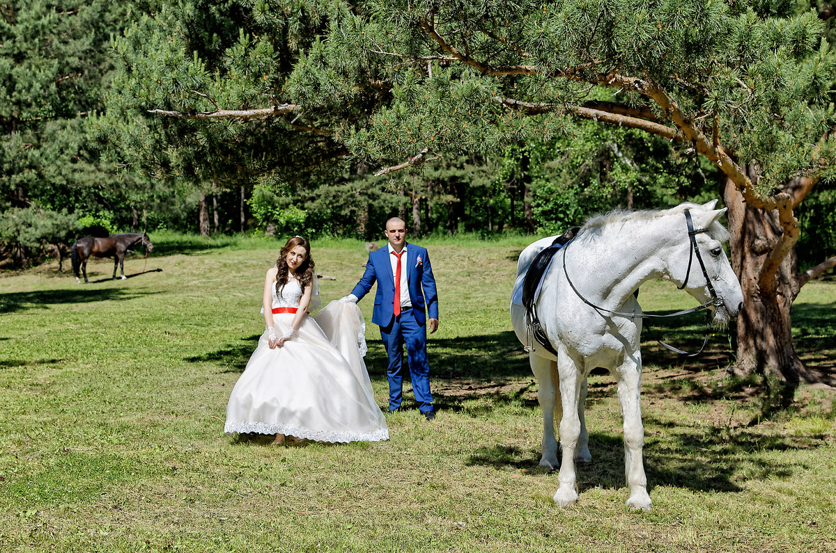 Фотосессии с лошадьми - Дмитрий Конев