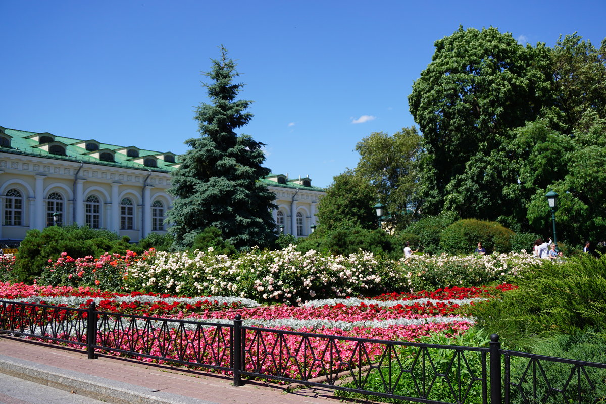 Лето в Александровском саду - Ольга 