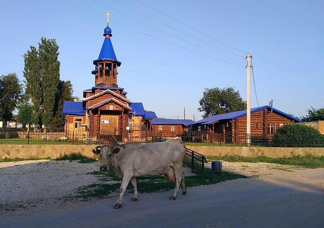 в Старой Жуковке - Оксана Полякова