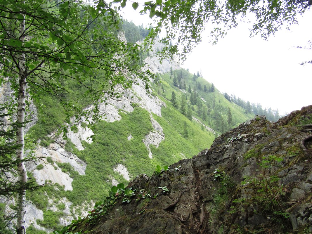 Ущелье водопадное - Galaelina ***
