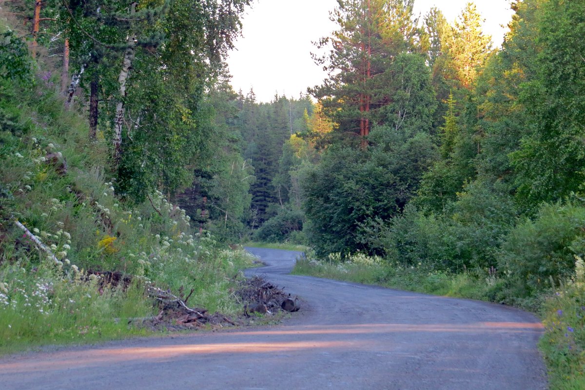 Дорога в горах - Вера Щукина