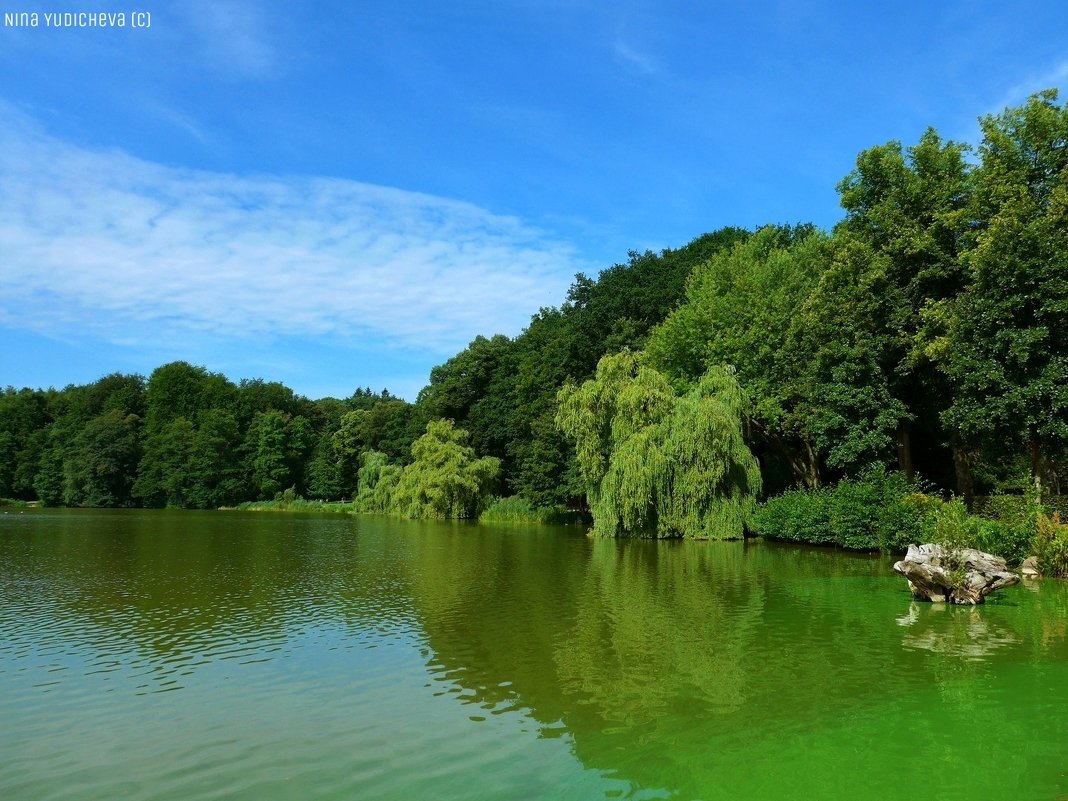 Außenmühlenteich Hamburg Harburg - Nina Yudicheva