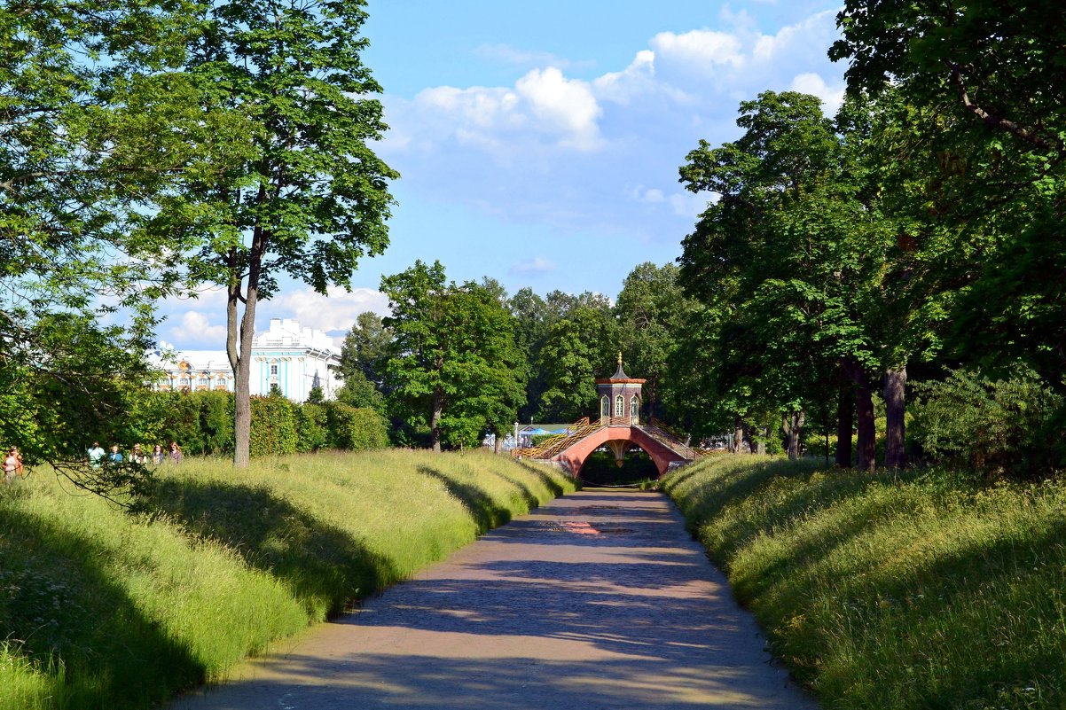 Лето в Александровском парке - Ольга 