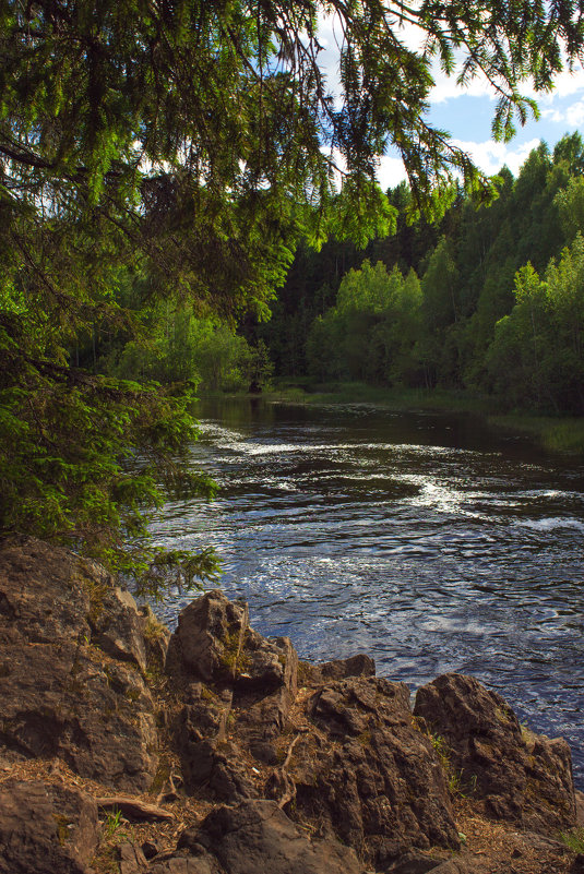 *** - Анжела Пасечник